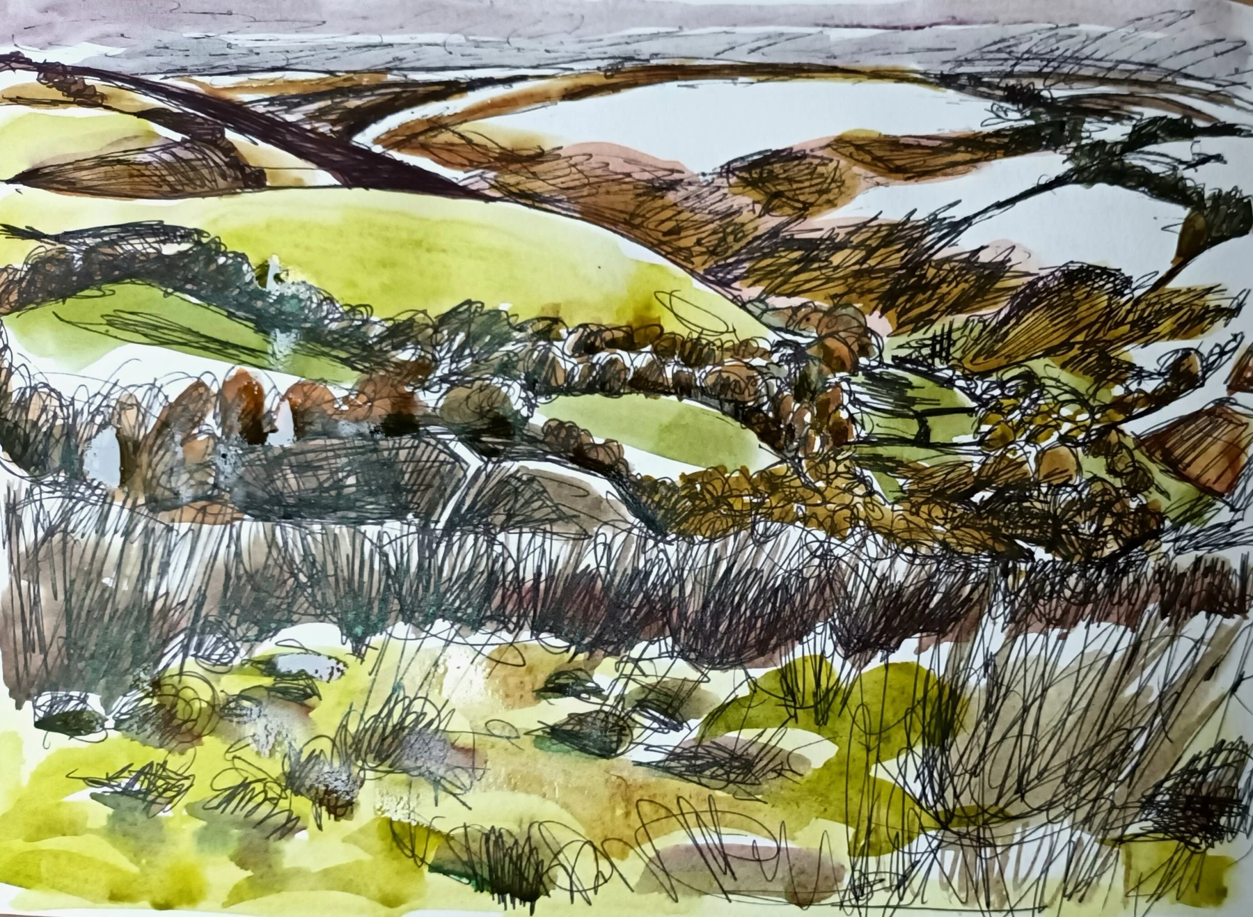 Above the Barle, Sketch — Pen and watercolour on paper, 2025