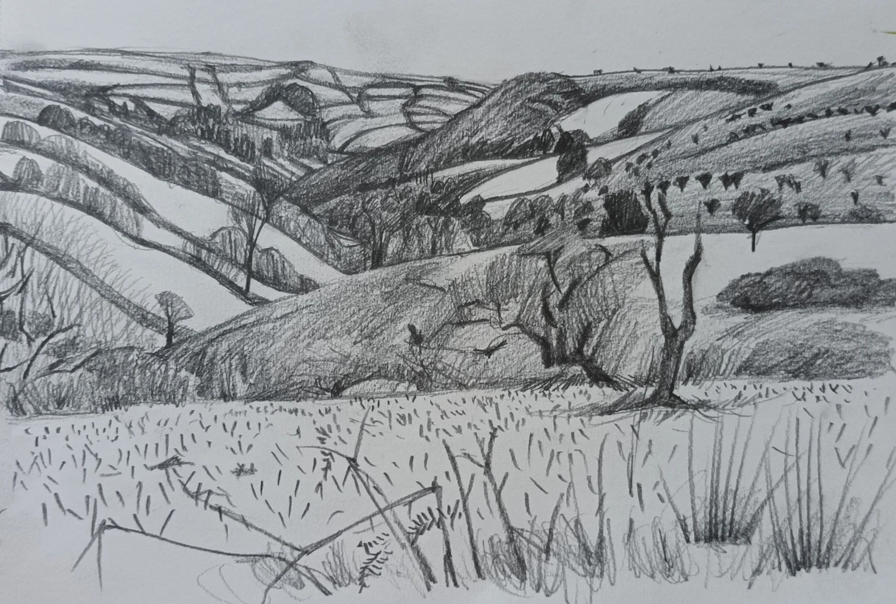 Looking Towards Winsford, Sketch — Pencil on paper, 2026